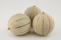 NunhemsMelon_Magverik