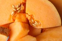 ripe-melon-slices-all-over-background-close-up-2026-01-09-07-47-11-utc
